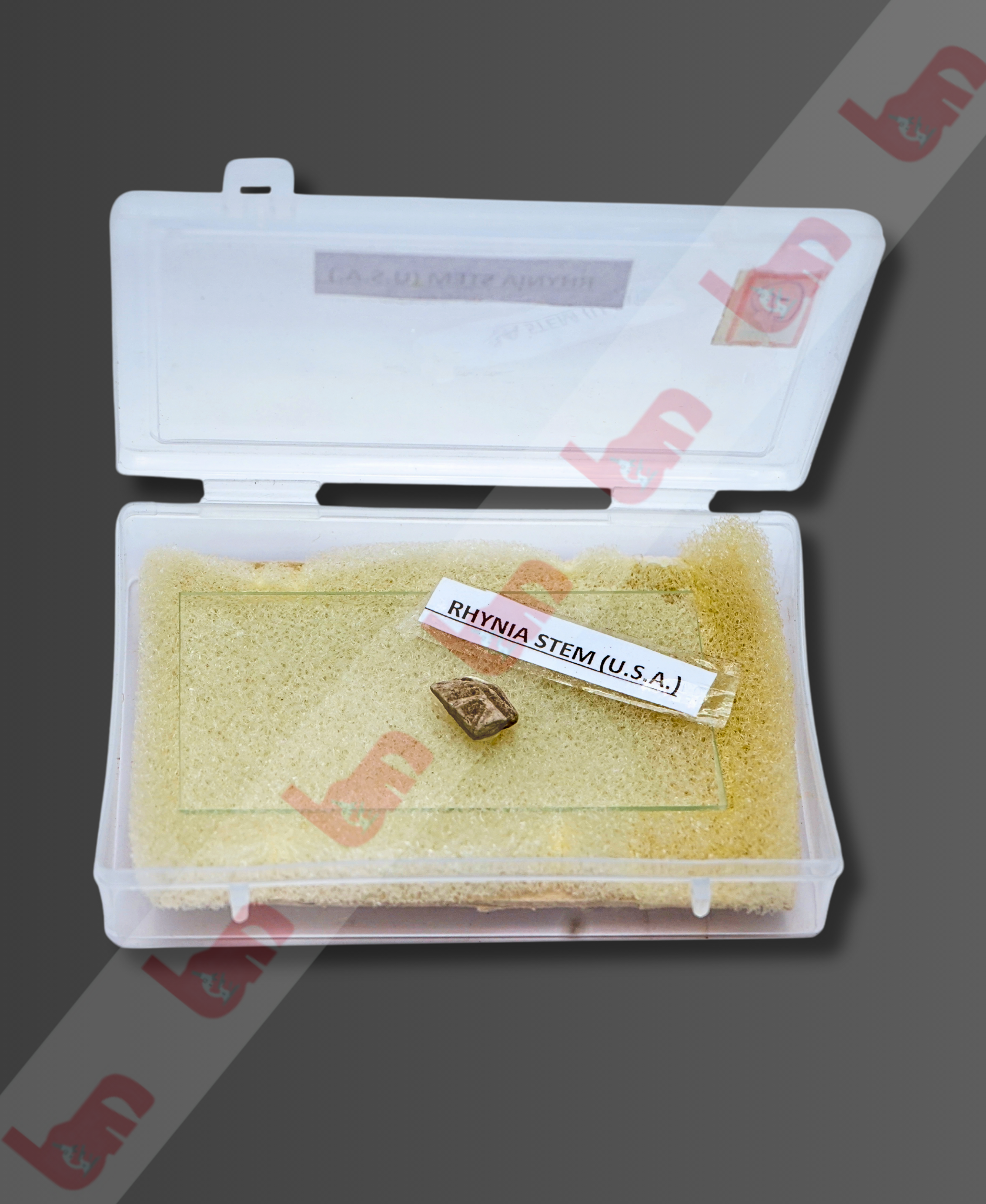 Resin Plastic Embedded Specimens